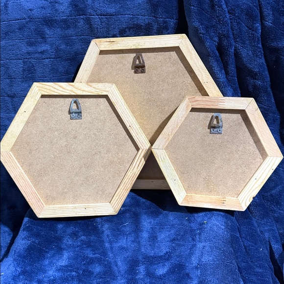 Hexagonal Framed Moss Wall Art Trio - Green and Natural Tones - Picture 8 of 9